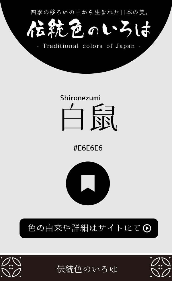 白鼠（Shironezumi）